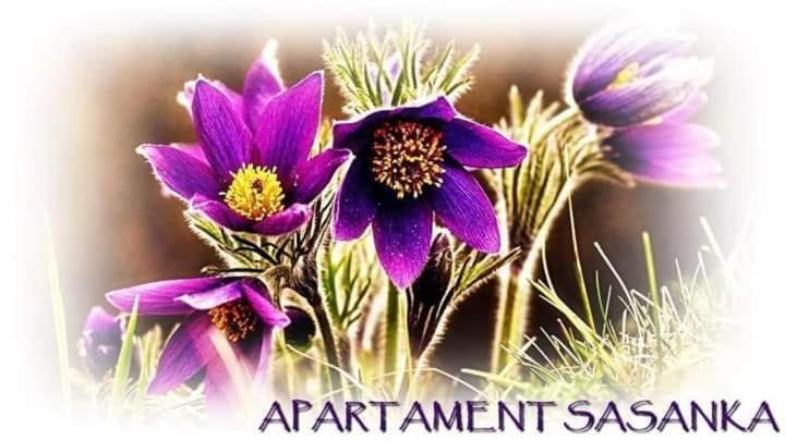 Apartament Sasanka Kowary Luaran gambar